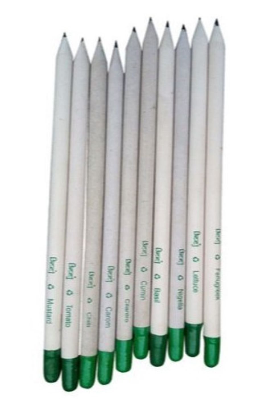 Dream Big White Paper Plantable Pencil-black Lead 