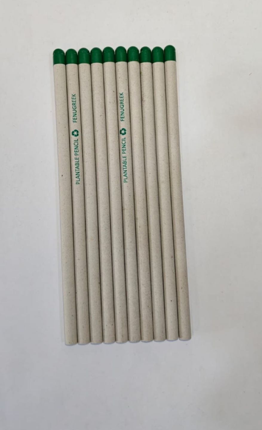 Dream Big White Paper Plantable Pencil-black Lead 