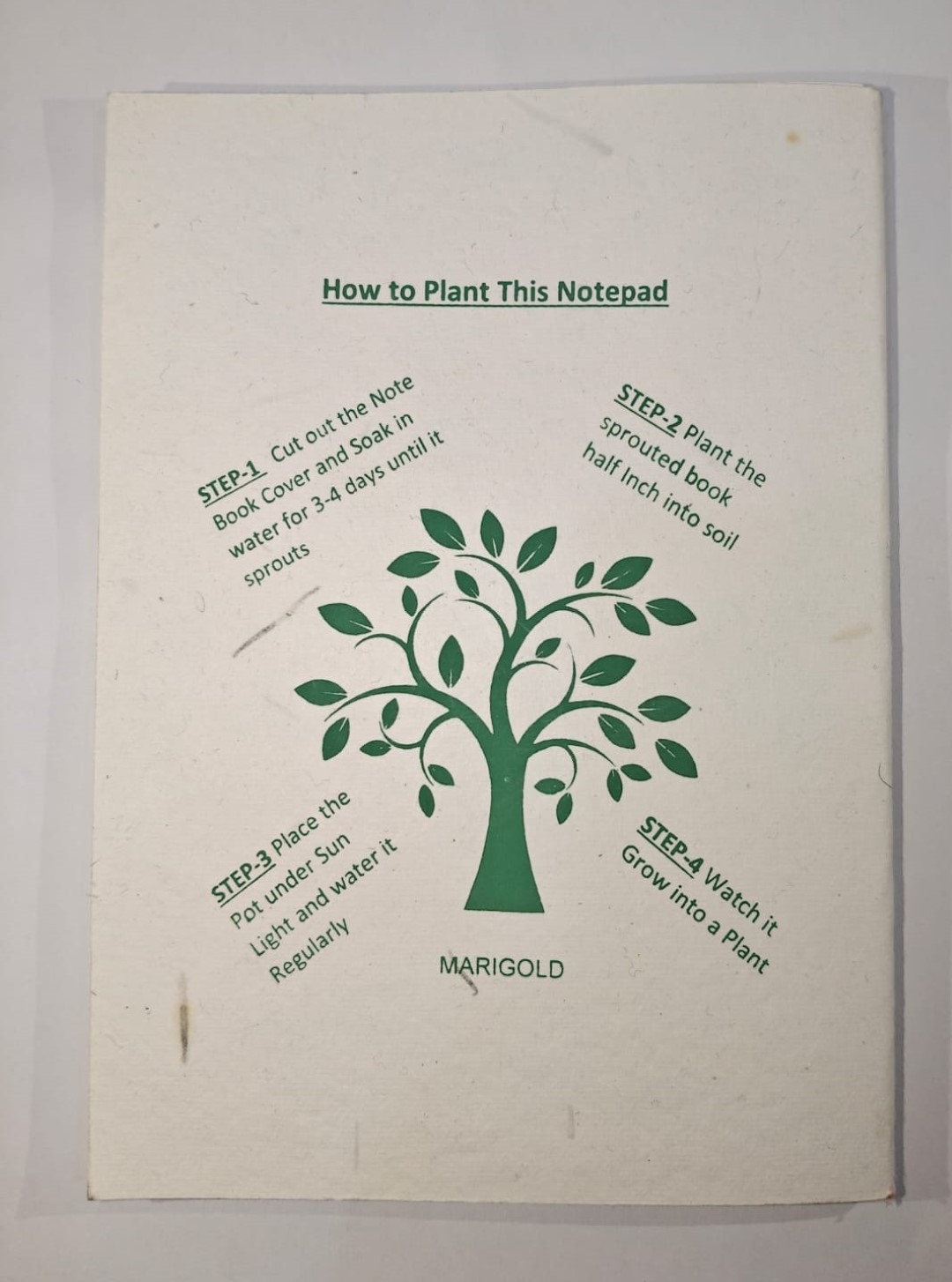 Magic Beginnings Eco-Friendly Plantable Notepad