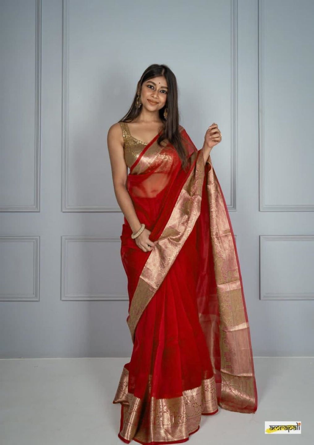 Pure Organza Sarees