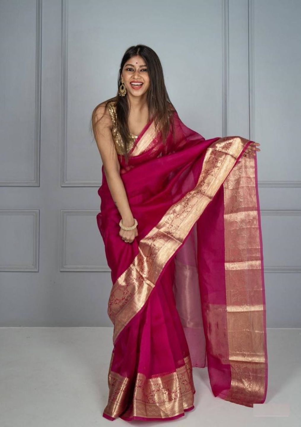 Pure Organza Sarees